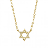 Petite Gold Star of David Necklace